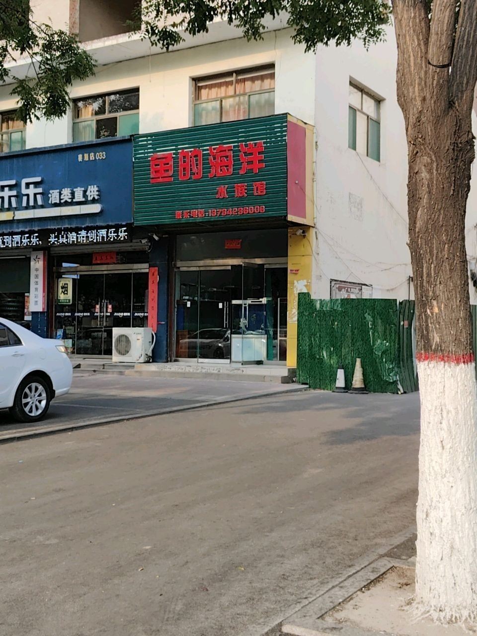 襄垣開水族店怎么樣？加盟祥龍魚場賣龍魚市場怎樣？