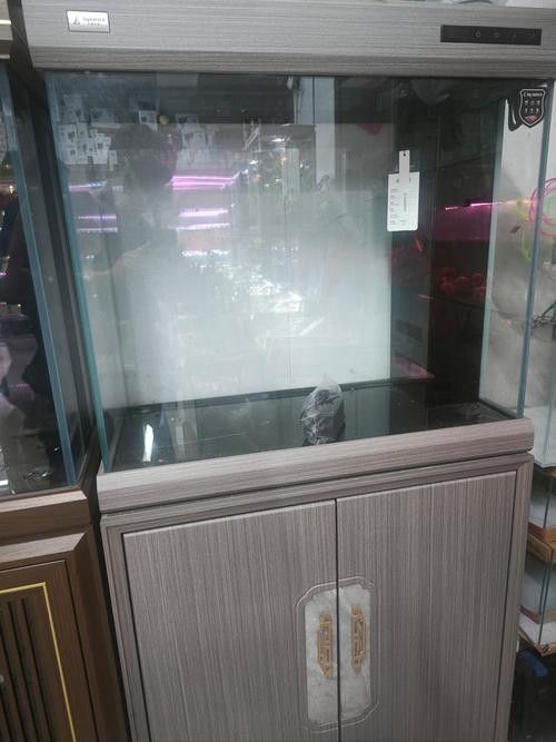 鼓樓開水族店怎么樣？加盟祥龍魚場賣龍魚市場怎樣？