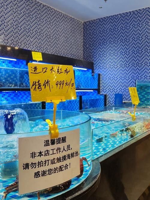 馬龍開(kāi)水族店怎么樣？加盟祥龍魚(yú)場(chǎng)賣(mài)龍魚(yú)市場(chǎng)怎樣？