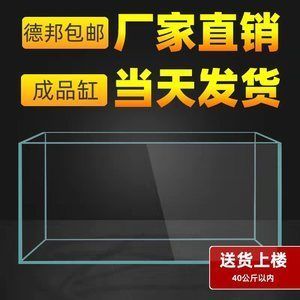 龍魚要用多大的缸：養(yǎng)龍魚的魚缸尺寸 龍魚要用多大的缸：養(yǎng)龍魚的魚缸尺寸 龍魚百科 第2張