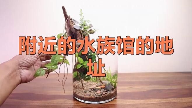 夏河開水族店怎么樣？加盟祥龍魚場賣龍魚市場怎樣？