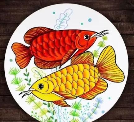 金龍魚繪畫圖片高清