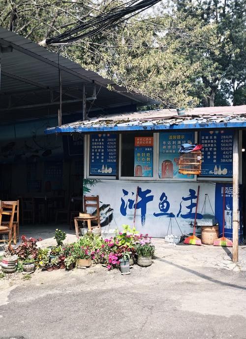 懷集開水族店怎么樣？加盟祥龍魚場(chǎng)賣龍魚市場(chǎng)怎樣？