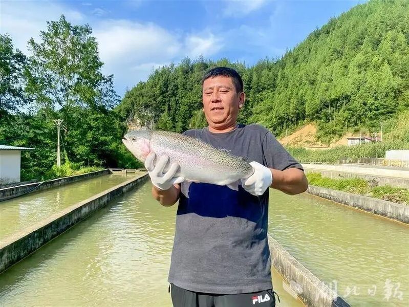 利川開(kāi)水族店怎么樣？加盟祥龍魚(yú)場(chǎng)賣(mài)龍魚(yú)市場(chǎng)怎樣？
