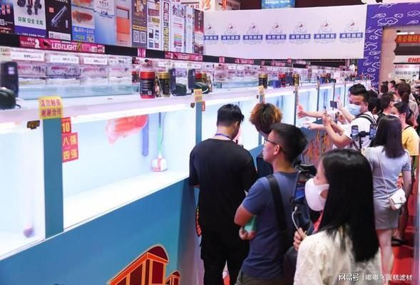 2021年龍魚比賽什么時候：2021年“盤古杯”世界龍魚錦標賽總獎金72萬人民幣