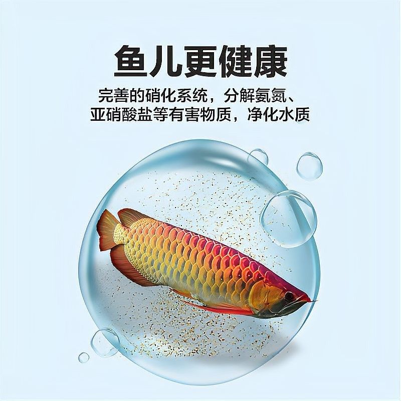 龍魚過濾系統中硝化細菌如何維護？