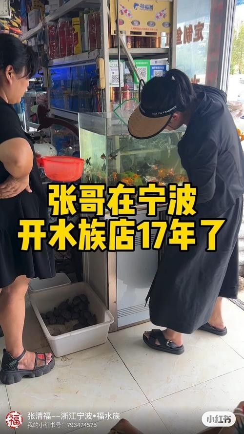 寧波開水族店怎么樣？加盟祥龍魚場(chǎng)賣龍魚市場(chǎng)怎樣？