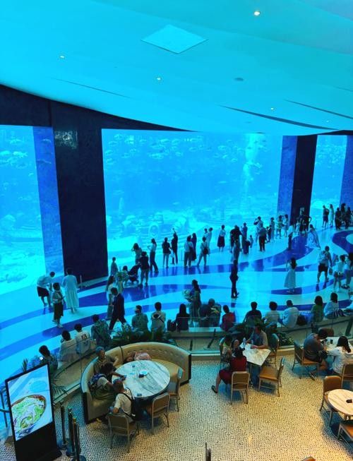 三亞開水族店怎么樣?加盟祥龍魚場賣龍魚市場怎樣? 水族館百科(水族館加盟) 第7張 三亞開水族店怎么樣?加盟祥龍魚場賣龍魚市場怎樣? 三亞開水族店怎么樣?加盟祥龍魚場賣龍魚市場怎樣? 水族館百科(水族館加盟) 第7張