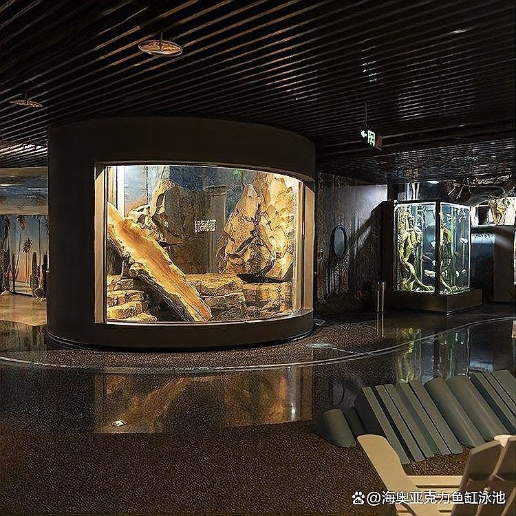 三亞開水族店怎么樣？加盟祥龍魚場賣龍魚市場怎樣？ 三亞開水族店怎么樣？加盟祥龍魚場賣龍魚市場怎樣？ 水族館百科（水族館加盟） 第12張