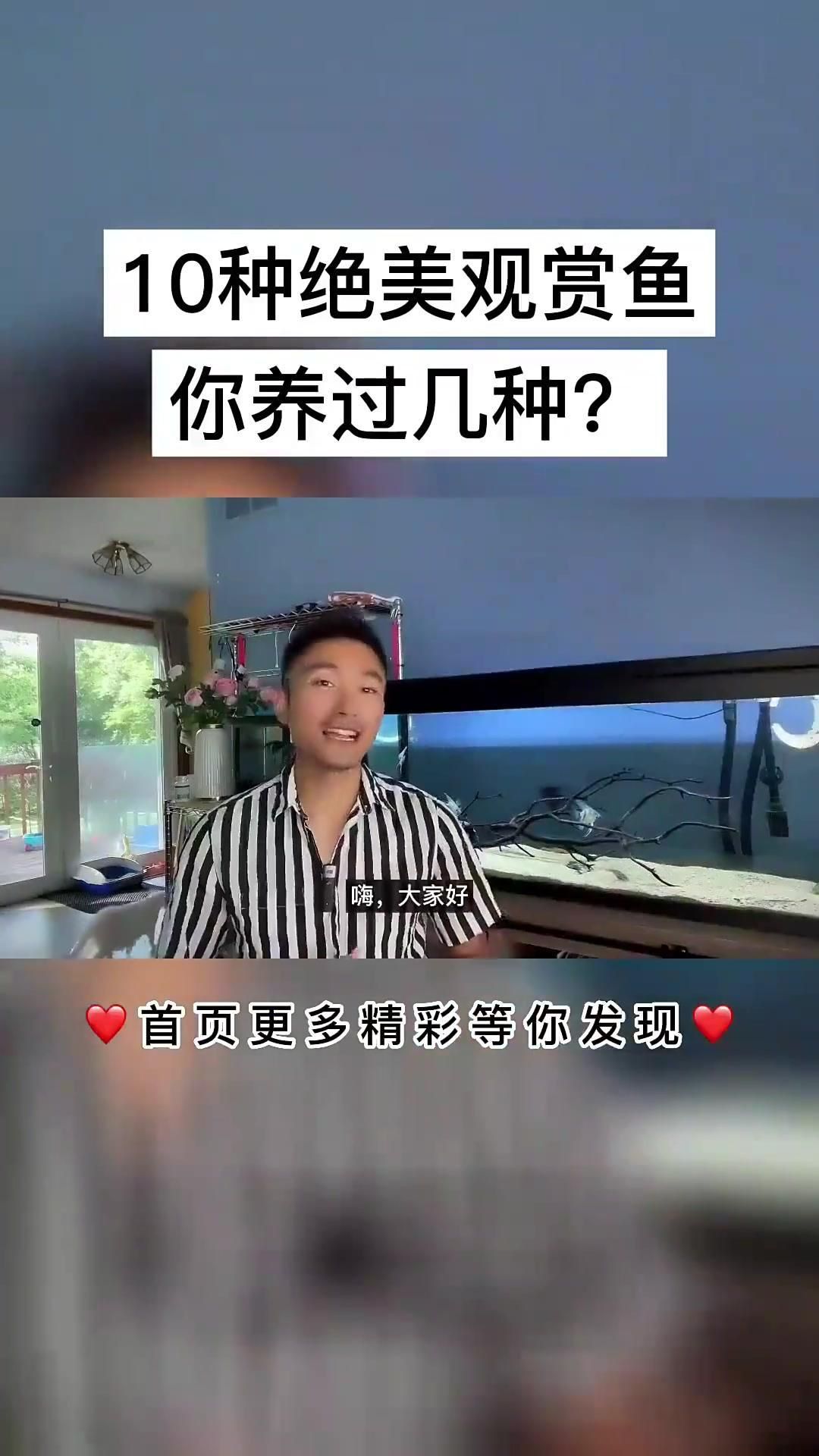 哪種魚最好看