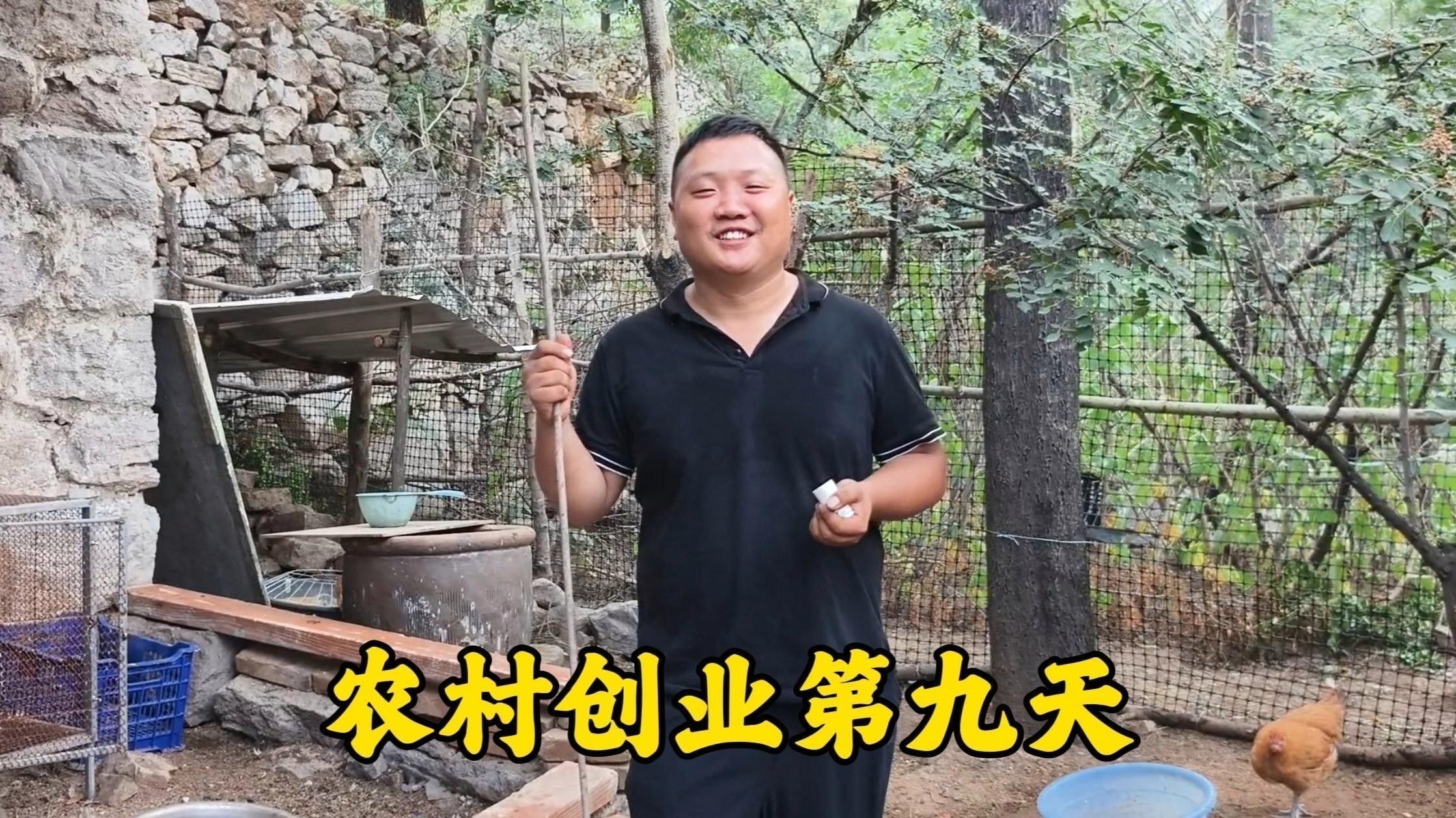 龍魚翹嘴好不好養(yǎng)活呀