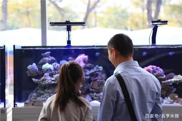 修水開水族店怎么樣？加盟祥龍魚場賣龍魚市場怎樣？