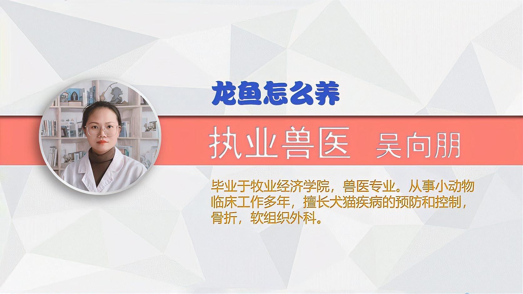 橫山開水族店怎么樣？加盟祥龍魚場賣龍魚市場怎樣？ 橫山開水族店怎么樣？加盟祥龍魚場賣龍魚市場怎樣？ 水族館百科（水族館加盟） 第3張
