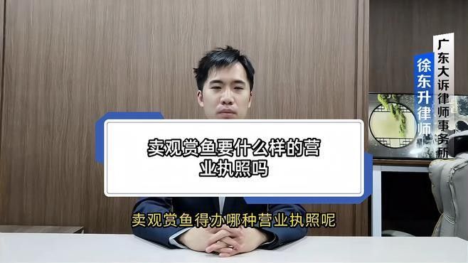 封開開水族店怎么樣？加盟祥龍魚場賣龍魚市場怎樣？