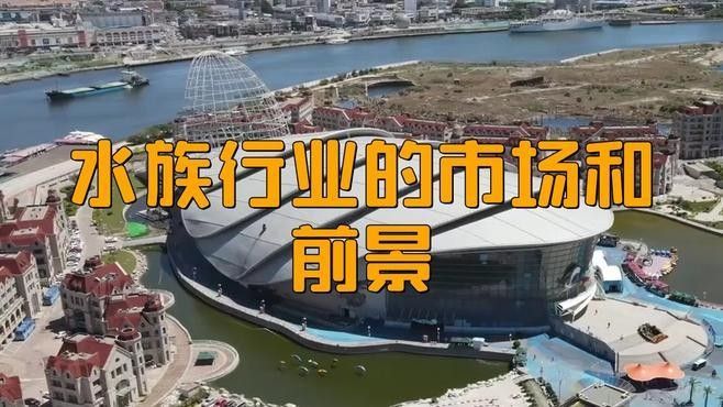 封開開水族店怎么樣？加盟祥龍魚場賣龍魚市場怎樣？