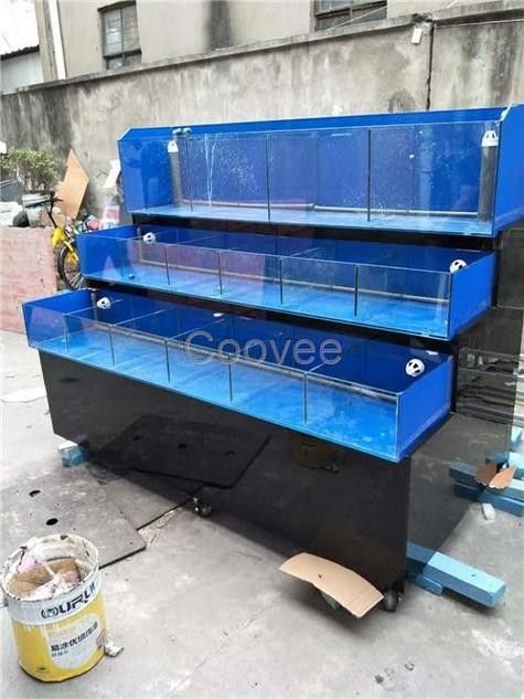 新鄉縣開水族店怎么樣？加盟祥龍魚場賣龍魚市場怎樣？ 新鄉縣開水族店怎么樣？加盟祥龍魚場賣龍魚市場怎樣？ 水族館百科（水族館加盟） 第1張