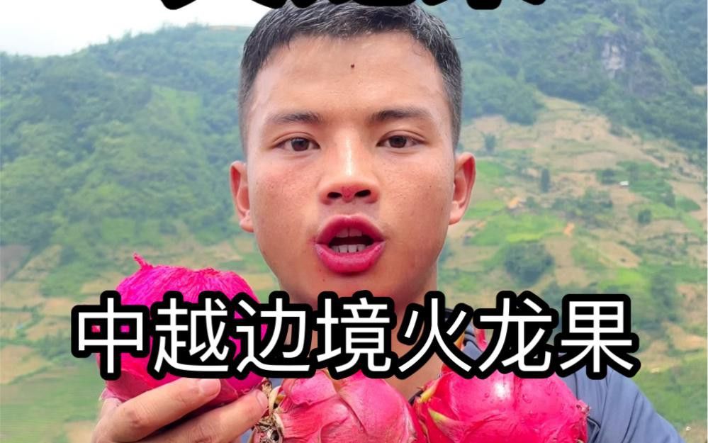 越南紅龍和潮汕紅龍哪個更甜？