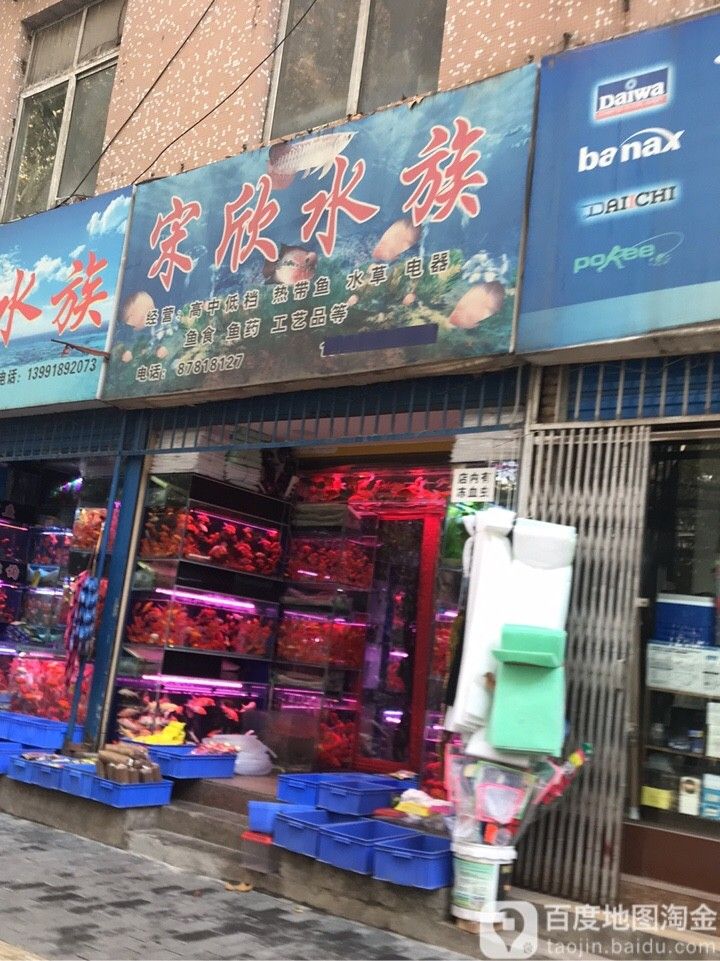 西安開水族店怎么樣？加盟祥龍魚場賣龍魚市場怎樣？ 西安開水族店怎么樣？加盟祥龍魚場賣龍魚市場怎樣？ 水族館百科（水族館加盟） 第2張