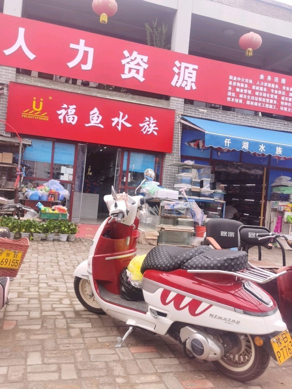 通許開水族店怎么樣？加盟祥龍魚場賣龍魚市場怎樣？