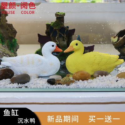 水鴨魚缸官方網站入口 水鴨魚缸官方網站入口 龍魚百科 第1張