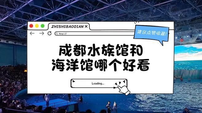 成都開水族店怎么樣？加盟祥龍魚場賣龍魚市場怎樣？