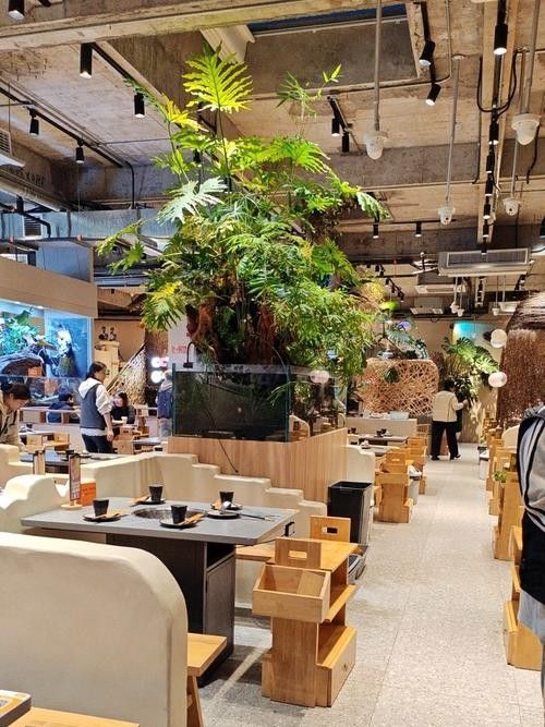 成都開水族店怎么樣？加盟祥龍魚場賣龍魚市場怎樣？
