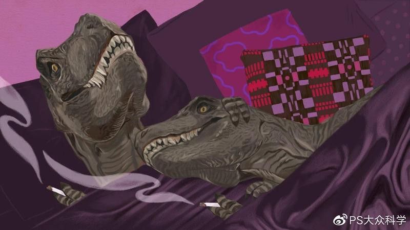 四角龍化石如何幫助研究生殖行為？