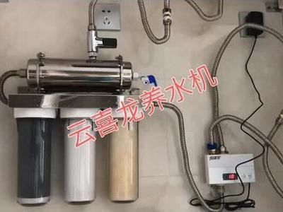 龍魚(yú)燈的安裝位置圖示圖：如何將龍魚(yú)燈安裝在適合的環(huán)境中，需要選擇一個(gè)合適的位置