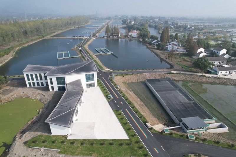 西湖開水族店怎么樣？加盟祥龍魚場賣龍魚市場怎樣？
