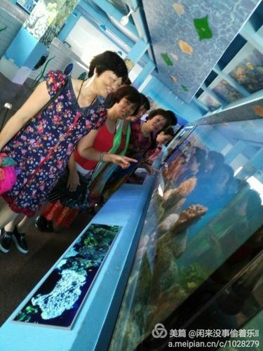 徐聞開水族店怎么樣？加盟祥龍魚場賣龍魚市場怎樣？