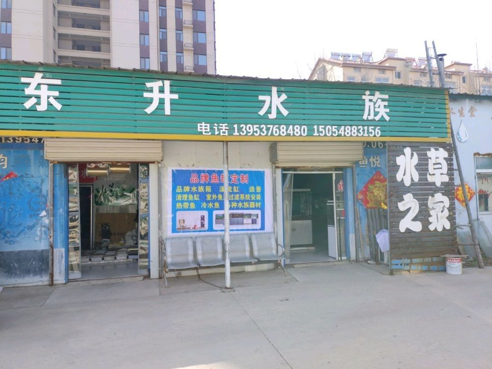 兗州開水族店怎么樣？加盟祥龍魚場賣龍魚市場怎樣？