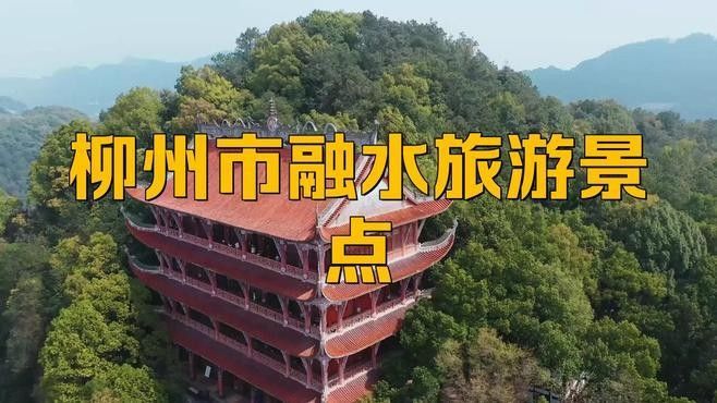 融水開水族店怎么樣？加盟祥龍魚場賣龍魚市場怎樣？ 融水開水族店怎么樣？加盟祥龍魚場賣龍魚市場怎樣？ 水族館百科（水族館加盟） 第2張