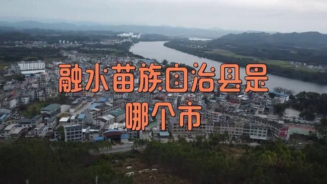 融水開水族店怎么樣？加盟祥龍魚場賣龍魚市場怎樣？ 融水開水族店怎么樣？加盟祥龍魚場賣龍魚市場怎樣？ 水族館百科（水族館加盟） 第3張