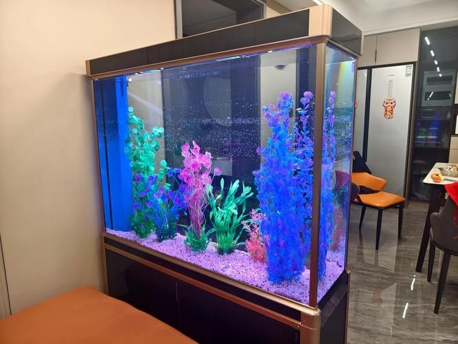 云陽開水族店怎么樣？加盟祥龍魚場賣龍魚市場怎樣？