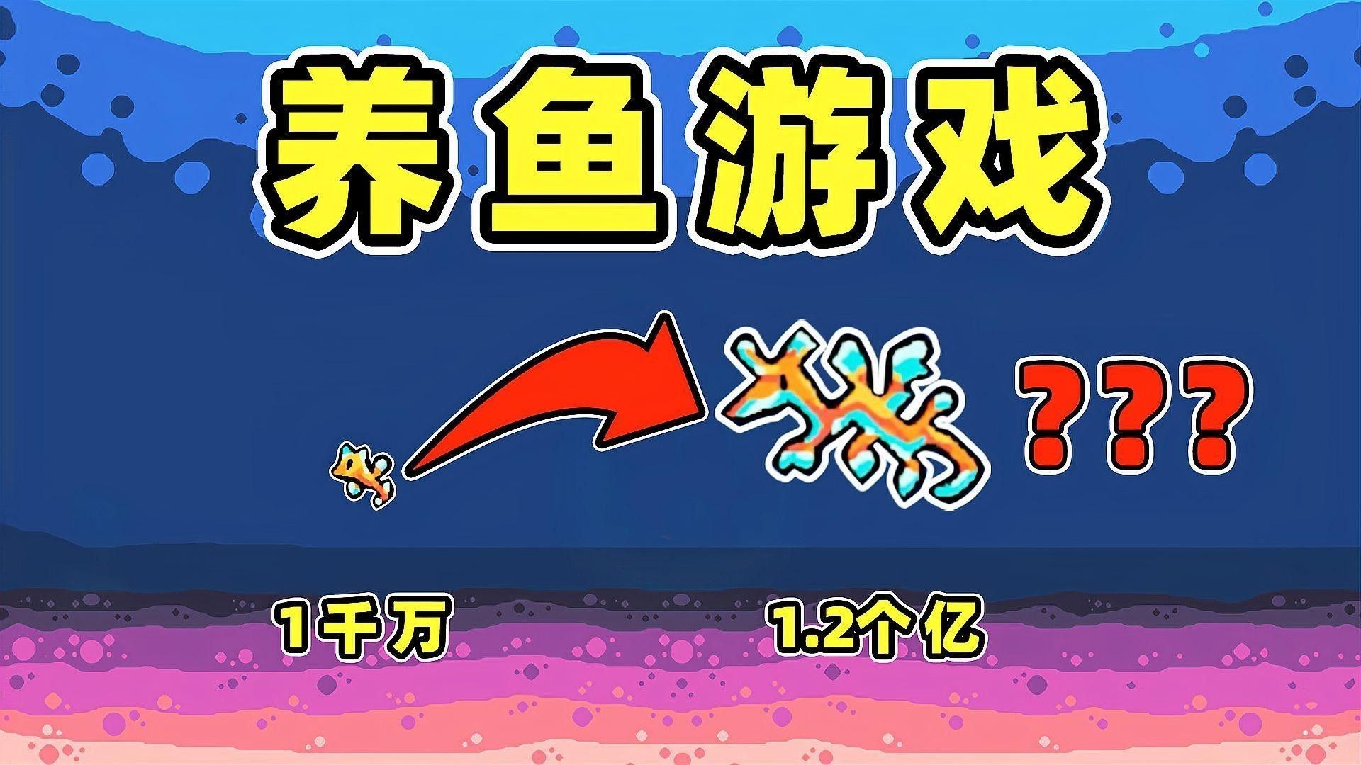 漢臺開水族店怎么樣？加盟祥龍魚場賣龍魚市場怎樣？