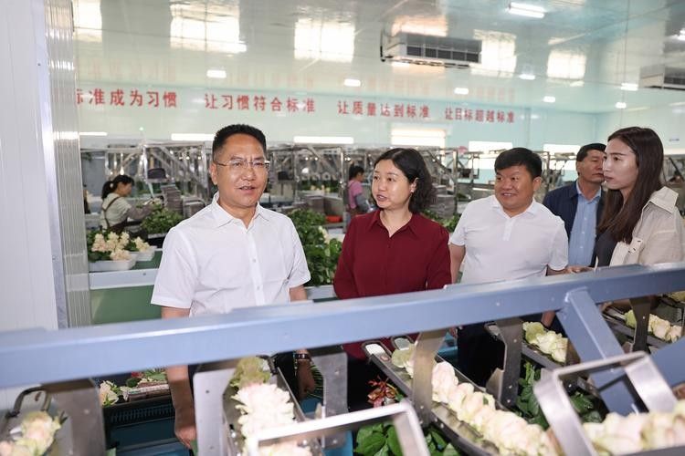 姚安開水族店怎么樣?加盟祥龍魚場賣龍魚市場怎樣? 水族館百科(水族館加盟) 第4張 姚安開水族店怎么樣?加盟祥龍魚場賣龍魚市場怎樣? 姚安開水族店怎么樣?加盟祥龍魚場賣龍魚市場怎樣? 水族館百科(水族館加盟) 第4張