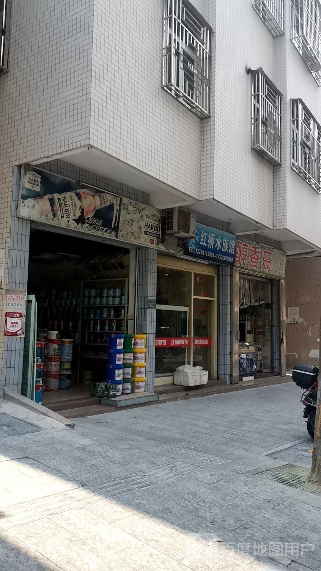 紅橋開水族店怎么樣？加盟祥龍魚場賣龍魚市場怎樣？ 紅橋開水族店怎么樣？加盟祥龍魚場賣龍魚市場怎樣？ 水族館百科（水族館加盟） 第1張