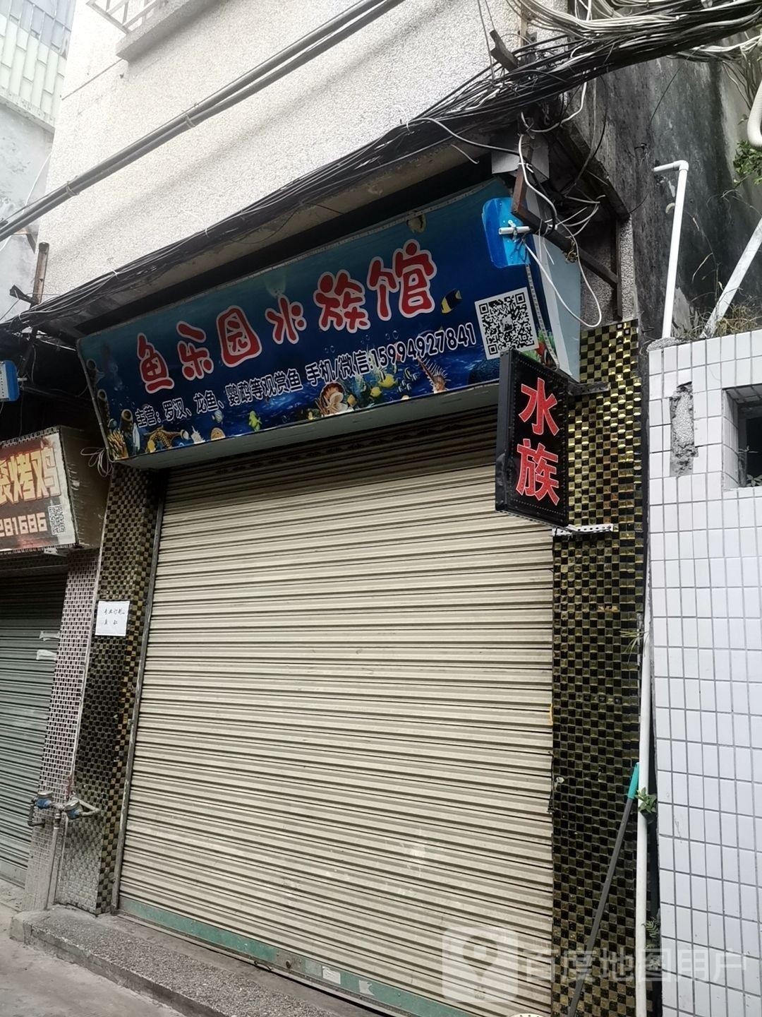 紅橋開水族店怎么樣？加盟祥龍魚場賣龍魚市場怎樣？ 紅橋開水族店怎么樣？加盟祥龍魚場賣龍魚市場怎樣？ 水族館百科（水族館加盟） 第2張