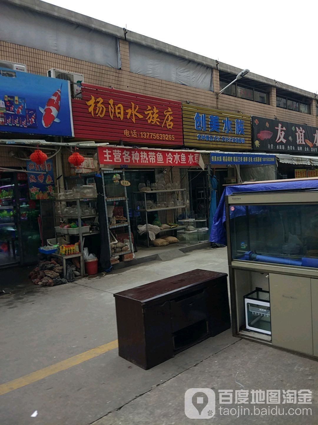 溧陽開水族店怎么樣？加盟祥龍魚場賣龍魚市場怎樣？ 溧陽開水族店怎么樣？加盟祥龍魚場賣龍魚市場怎樣？ 水族館百科（水族館加盟） 第1張