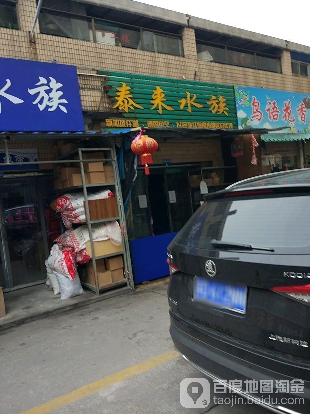 溧陽開水族店怎么樣？加盟祥龍魚場賣龍魚市場怎樣？ 溧陽開水族店怎么樣？加盟祥龍魚場賣龍魚市場怎樣？ 水族館百科（水族館加盟） 第3張