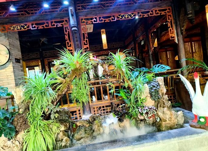 蒙自開水族店怎么樣？加盟祥龍魚場賣龍魚市場怎樣？