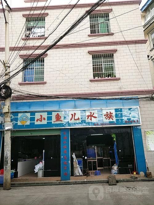 蒙自開水族店怎么樣？加盟祥龍魚場賣龍魚市場怎樣？