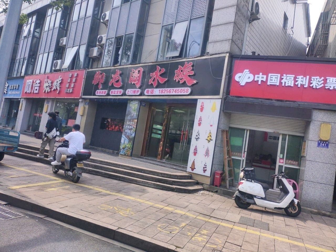安吉開水族店怎么樣？加盟祥龍魚場賣龍魚市場怎樣？