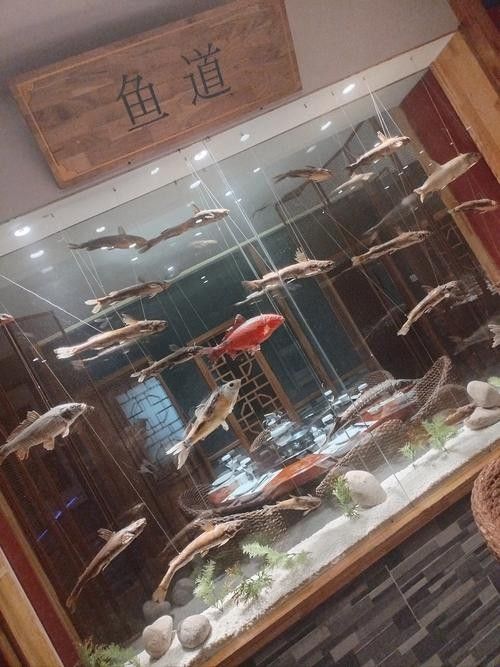 吉水開水族店怎么樣？加盟祥龍魚場賣龍魚市場怎樣？