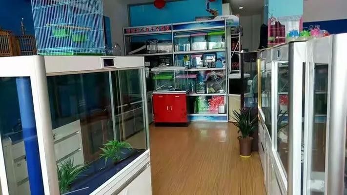 廣德開水族店怎么樣？加盟祥龍魚場(chǎng)賣龍魚市場(chǎng)怎樣？