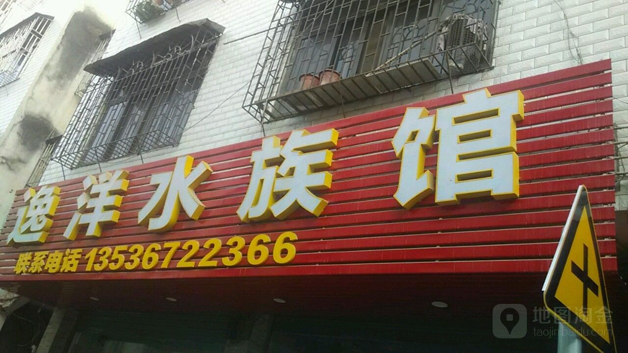 河?xùn)|開水族店怎么樣？加盟祥龍魚場(chǎng)賣龍魚市場(chǎng)怎樣？