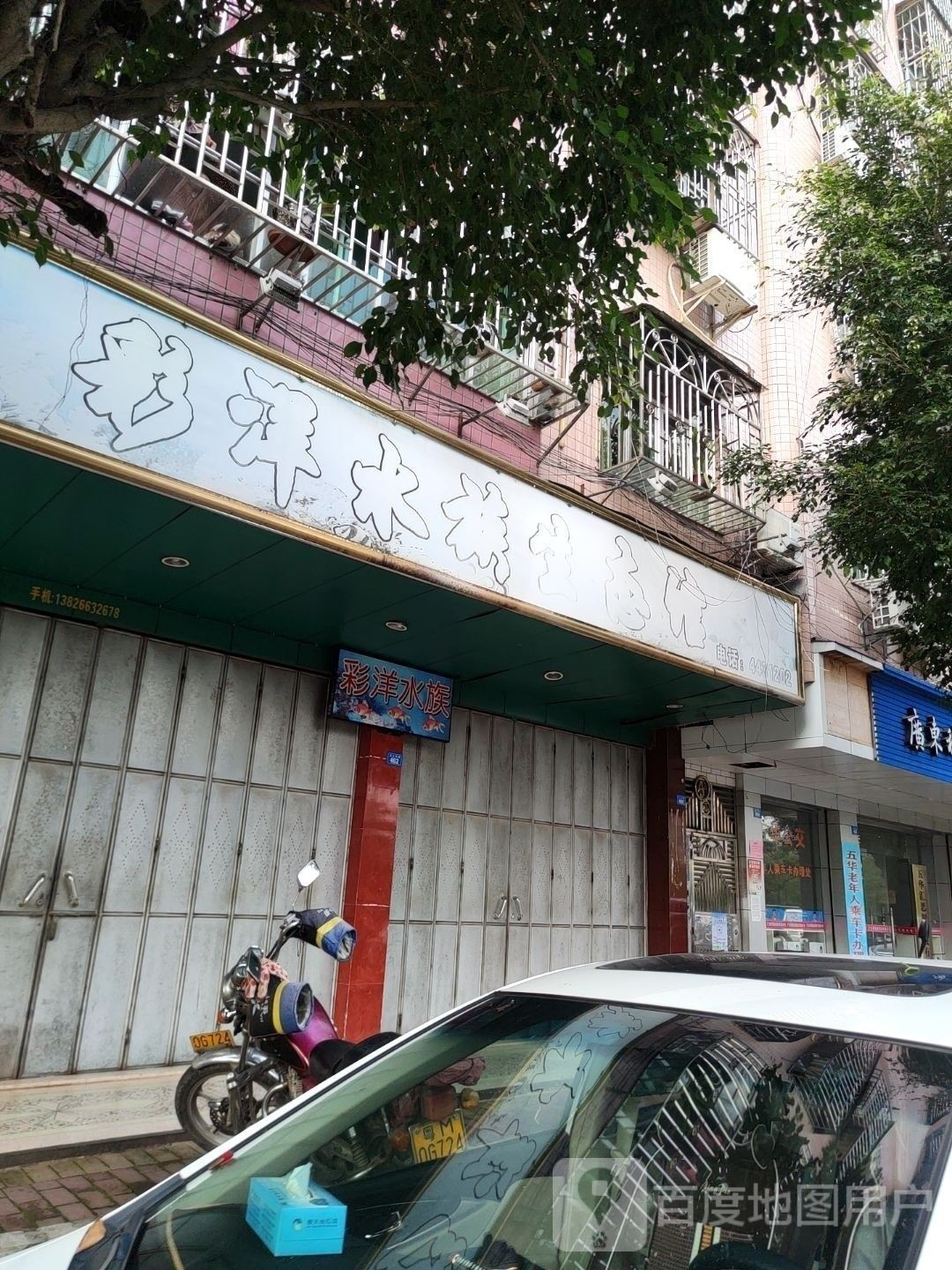 河?xùn)|開水族店怎么樣？加盟祥龍魚場(chǎng)賣龍魚市場(chǎng)怎樣？