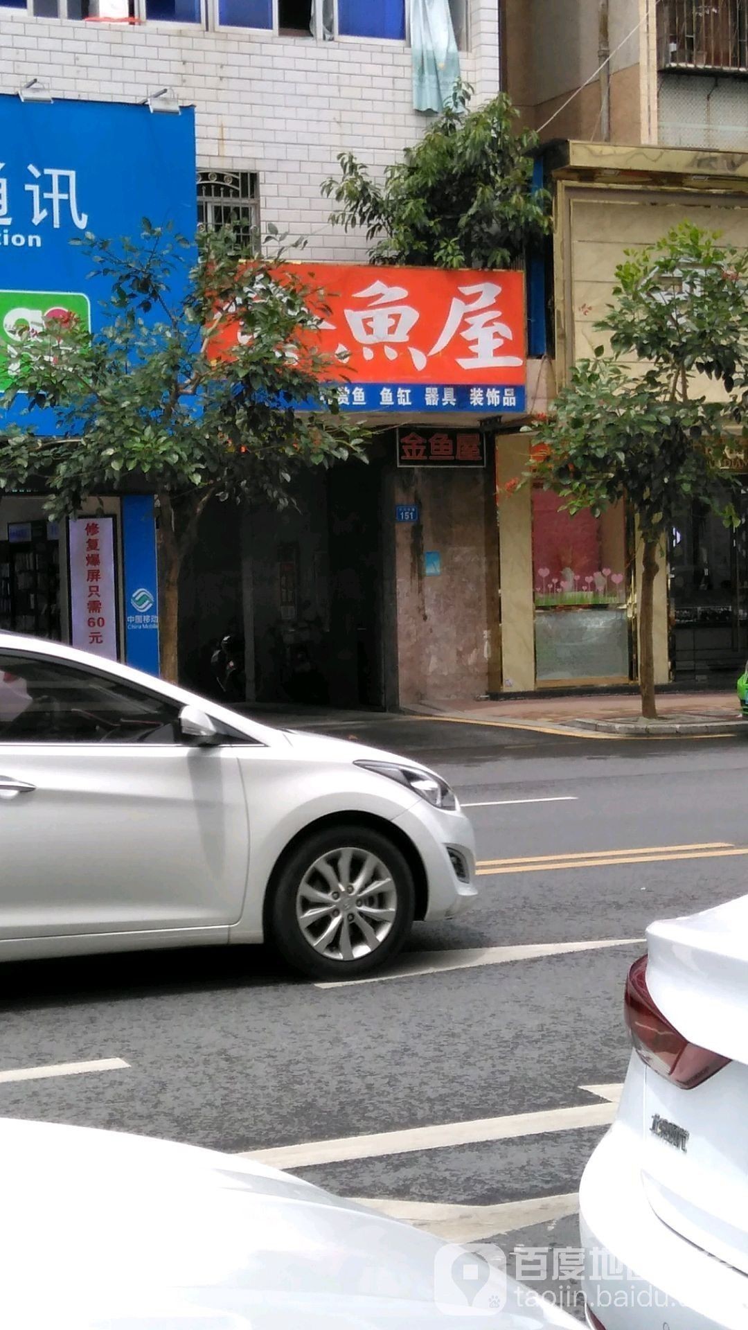 河?xùn)|開水族店怎么樣？加盟祥龍魚場(chǎng)賣龍魚市場(chǎng)怎樣？