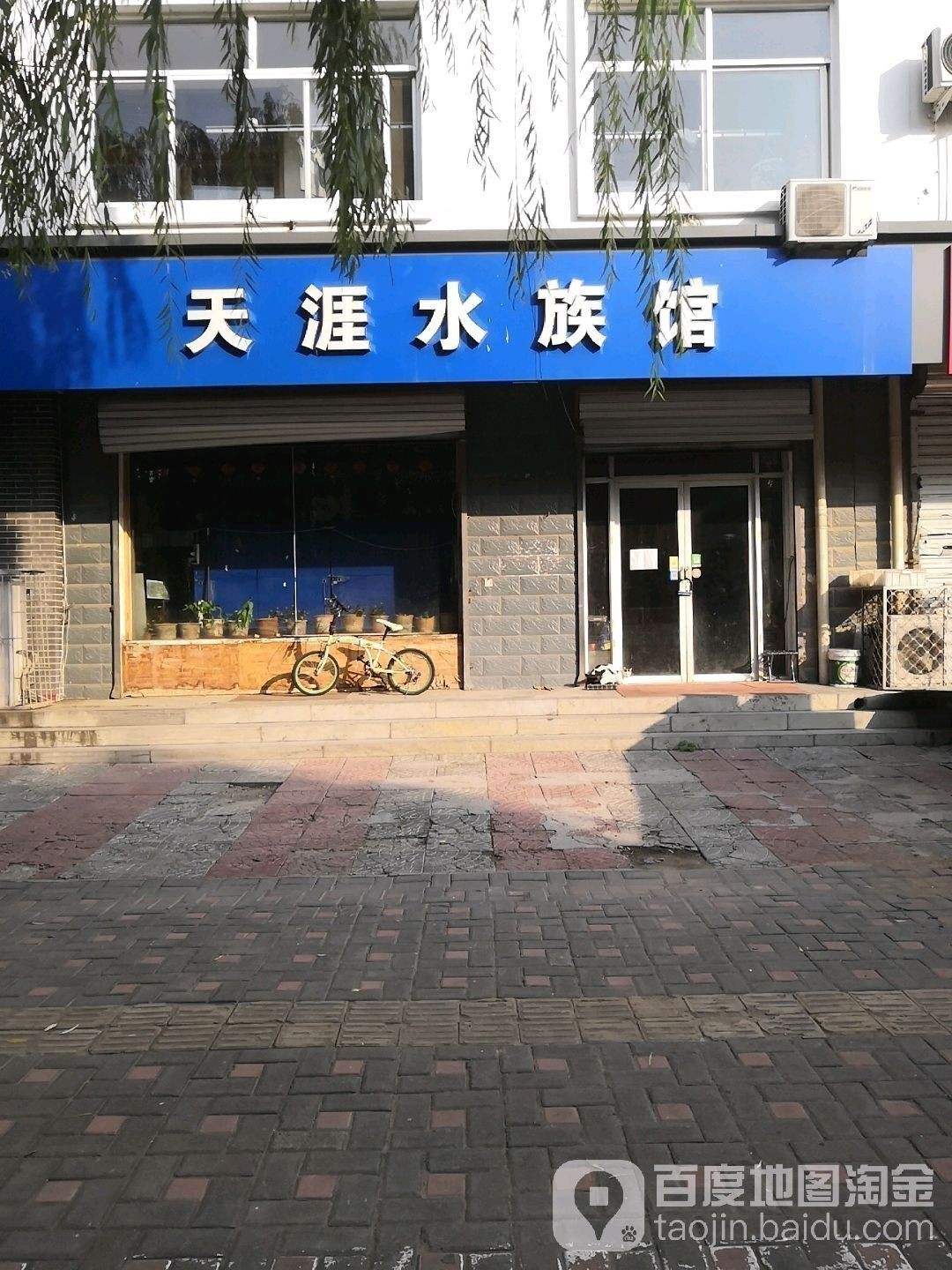 鹿泉開水族店怎么樣？加盟祥龍魚場賣龍魚市場怎樣？ 鹿泉開水族店怎么樣？加盟祥龍魚場賣龍魚市場怎樣？ 水族館百科（水族館加盟） 第2張