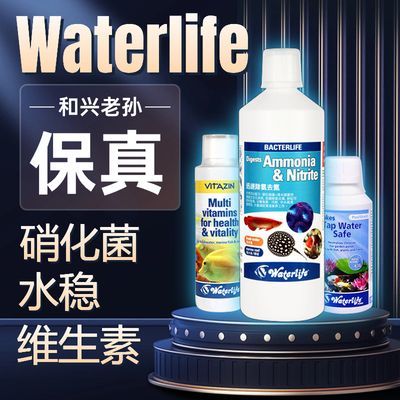 龍魚活體品牌：尋找龍魚活體品牌
